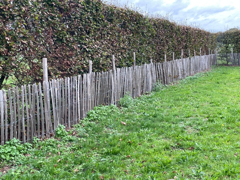 Kastanje/ schapen hekwerk met palen (in optie), Ophalen, Zo goed als nieuw, Hout, Tuinhek
