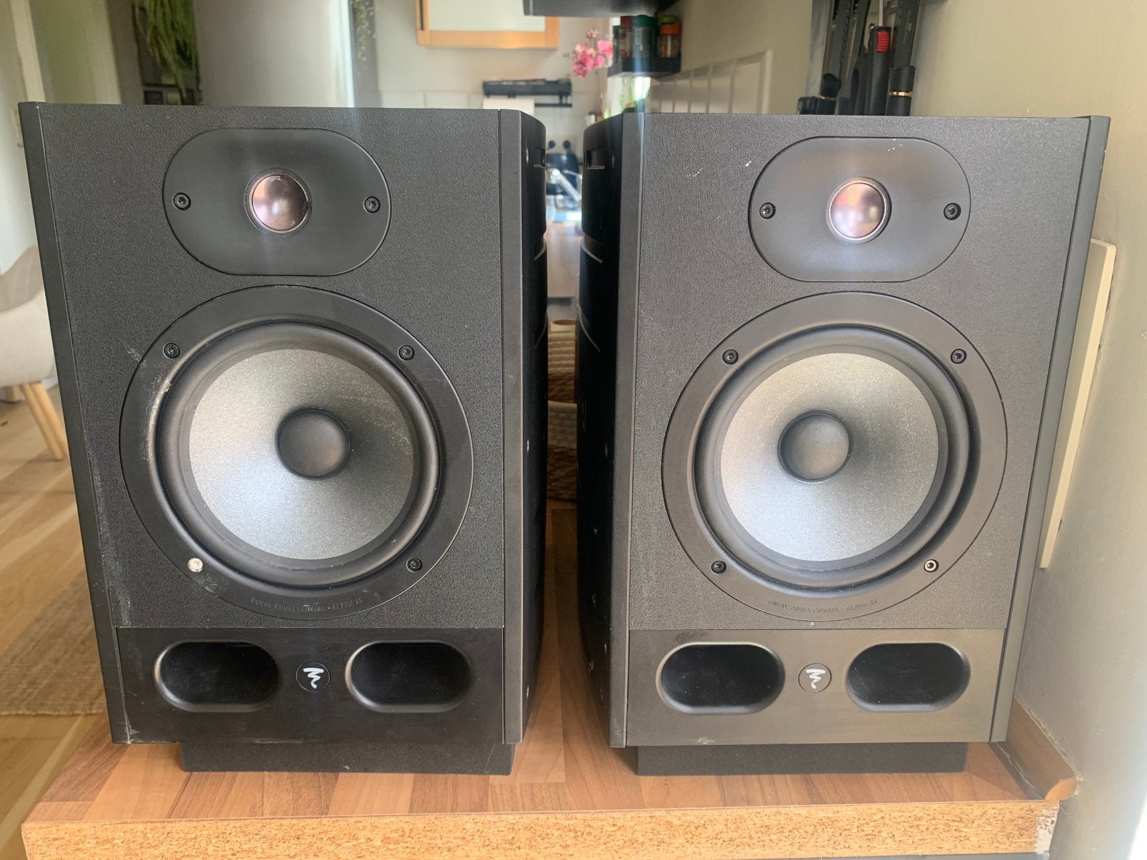 Enceintes Focal Professional Alpha 65, TV, Hi-fi & Vidéo, Enlèvement, Utilisé