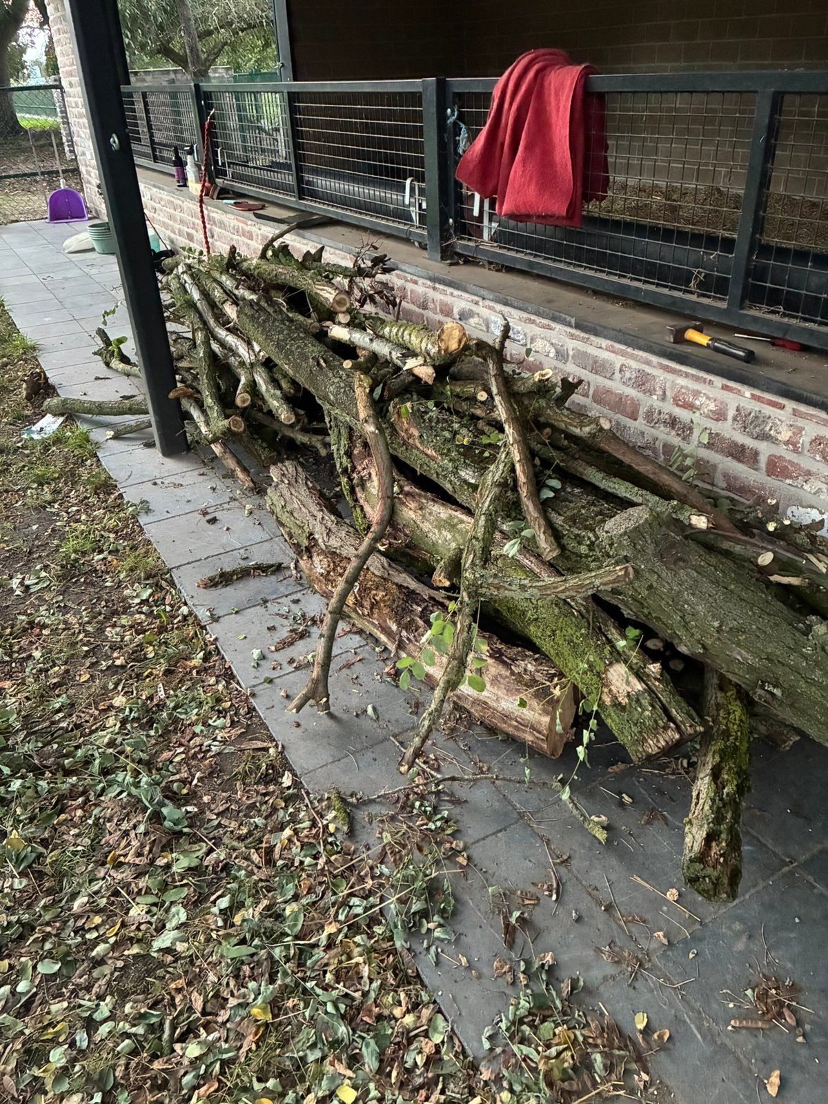 Snoei- brandhout acacia, Tuin en Terras, Minder dan 3 m³, Ophalen, Overige houtsoorten, Takken