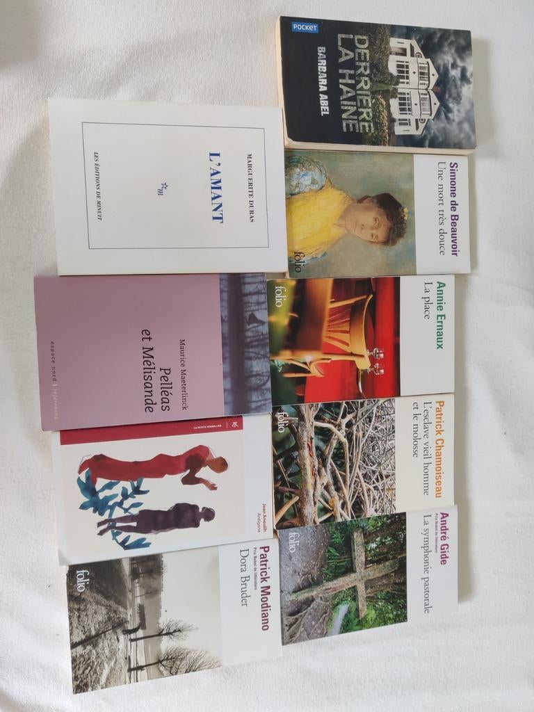 8 prachtige Franse romans + derrière la haine, Ophalen of Verzenden