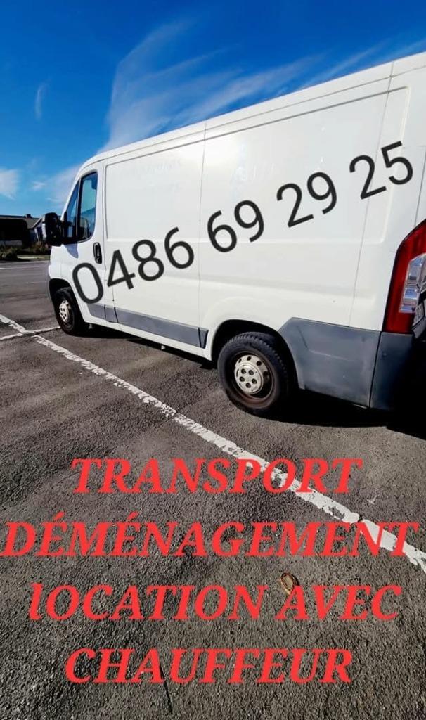 Transport- en verhuiswagen, Auto's, Particulier, Te koop