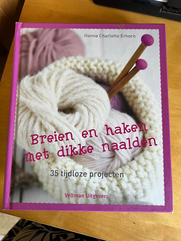 Hanna Charlotte Erhorn - Breien en haken met dikke naalden, Hobby en Vrije tijd, Ophalen of Verzenden, Zo goed als nieuw, Breien of Haken