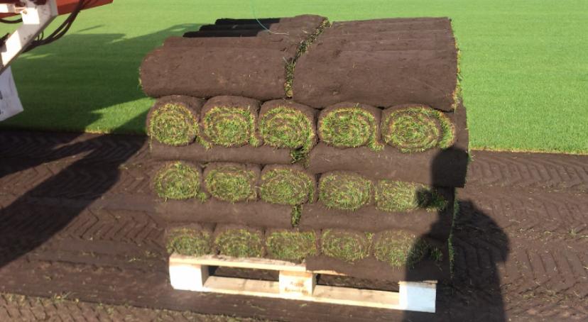 Graszoden op rol, Tuin en Terras, Ophalen, Nieuw, 20 m² of meer, Gras