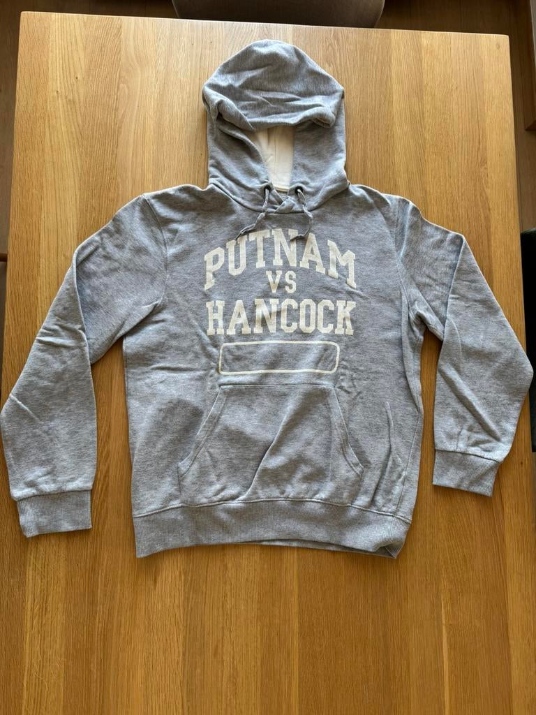 Joli pull à capuche gris - Taille M, Enlèvement ou Envoi, Taille 48/50 (M), Gris, LOGG