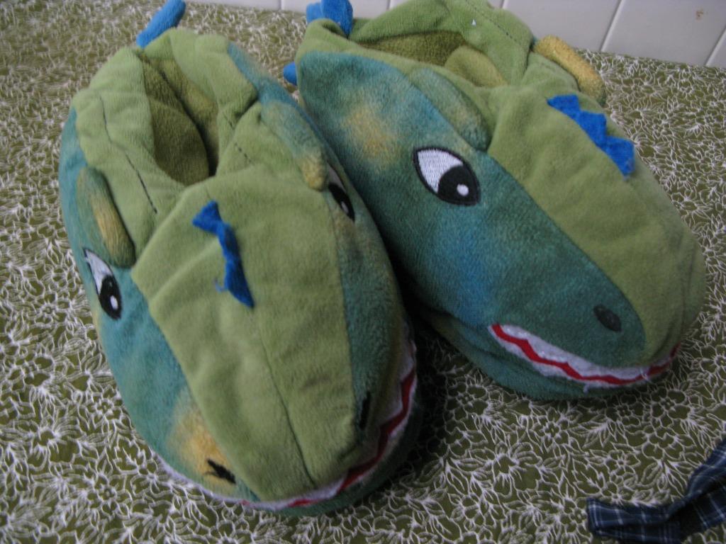 chaussons dino pour enfants taille 31-32, Garçon ou Fille, Enlèvement ou Envoi, Utilisé, Autres types