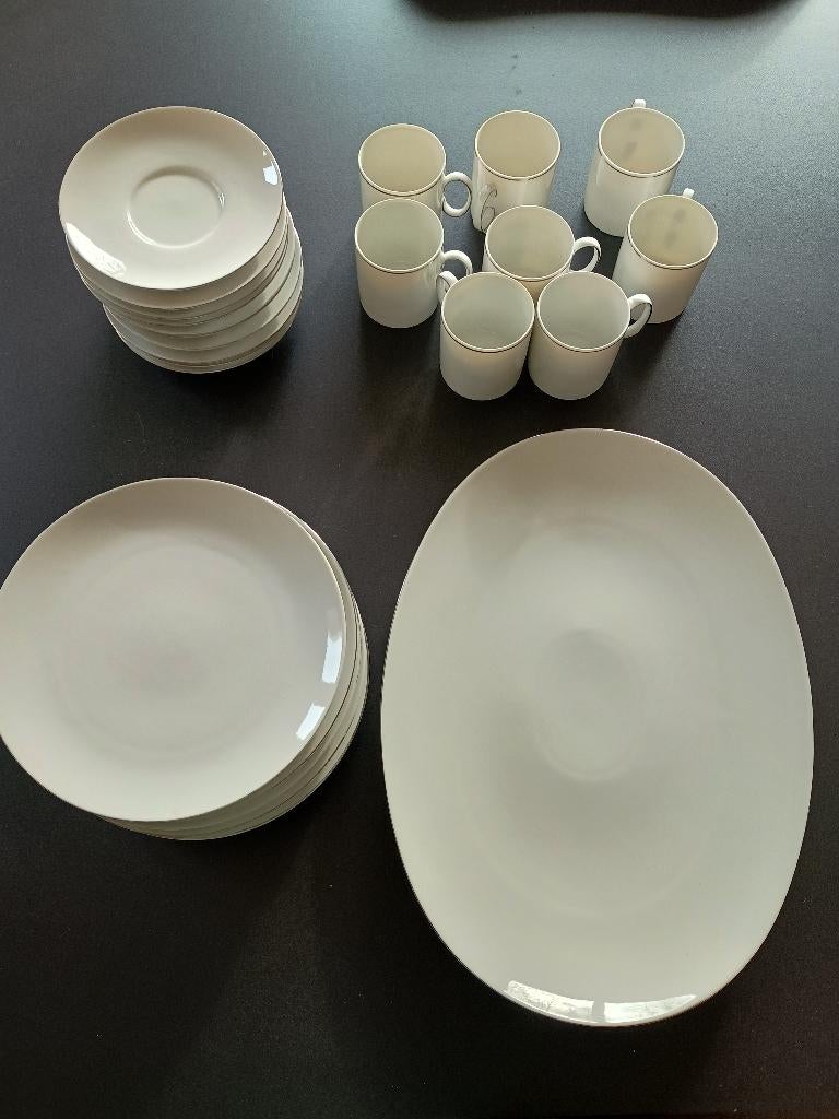 servies Rosenthal Thomas Medaillon Platinum (, Enlèvement ou Envoi, Utilisé, Uni, Service complet