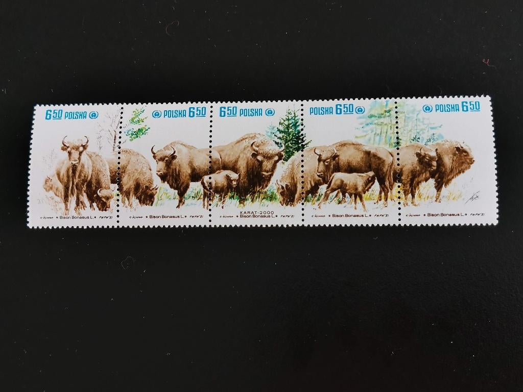 Pologne 1981 - Rétablissement du bison d'Europe **, Enlèvement ou Envoi, Pologne, Non oblitéré