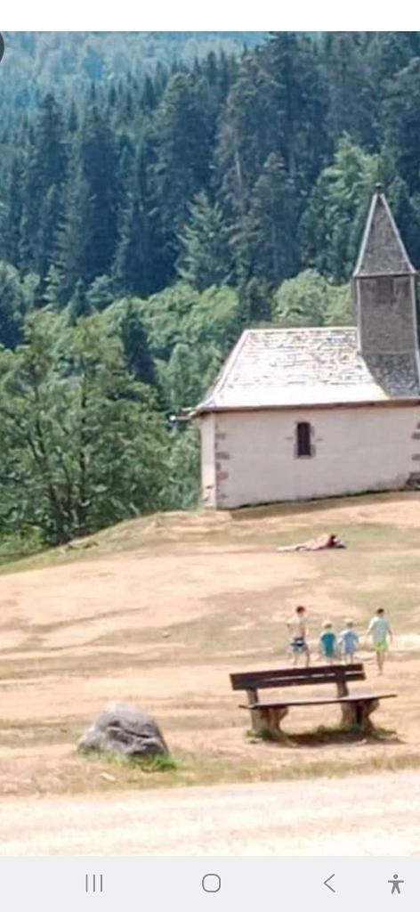 gîte  chiens admis dans les hautes vosges  a le Ménil, Vacances, Maisons de vacances | France, Propriétaire, Village, 9 personnes