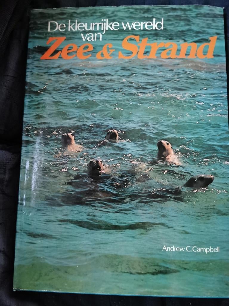 Le monde coloré de la mer et de la plage, Enlèvement ou Envoi, Utilisé