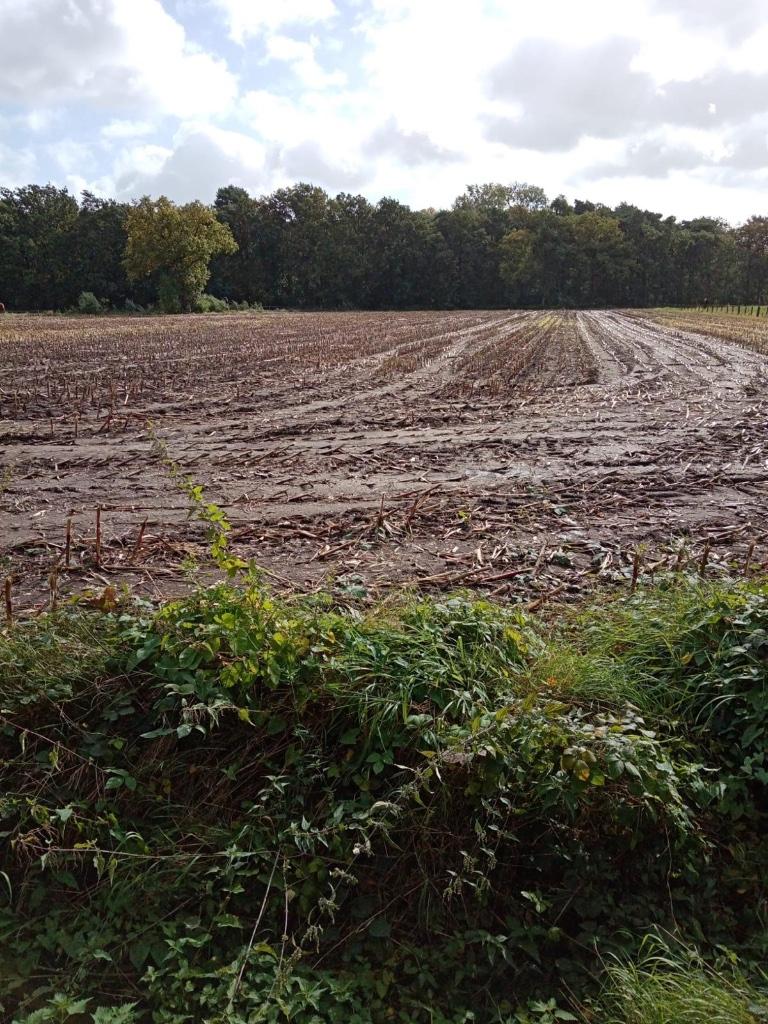 Landbouwgrond, Immo, Turnhout, Ventes sans courtier
