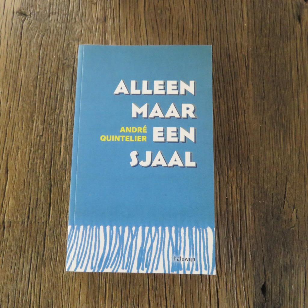 Alleen maar een sjaal André Quintelier, Boeken, Ophalen of Verzenden