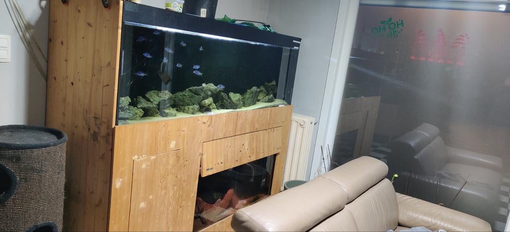 2m aquarium stelling compleet, Dieren en Toebehoren, Ophalen