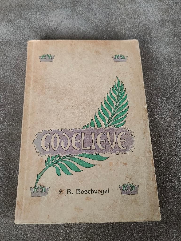 Godelieve - S. R. Boschvogel, Boeken, Ophalen of Verzenden, Gelezen