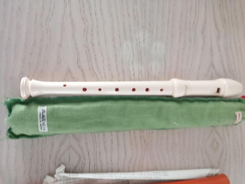 flûte d'apprentissage plastique ALLOS, Enlèvement ou Envoi, Utilisé, Soprano ou Sopranino, Avec valise, étui ou housse