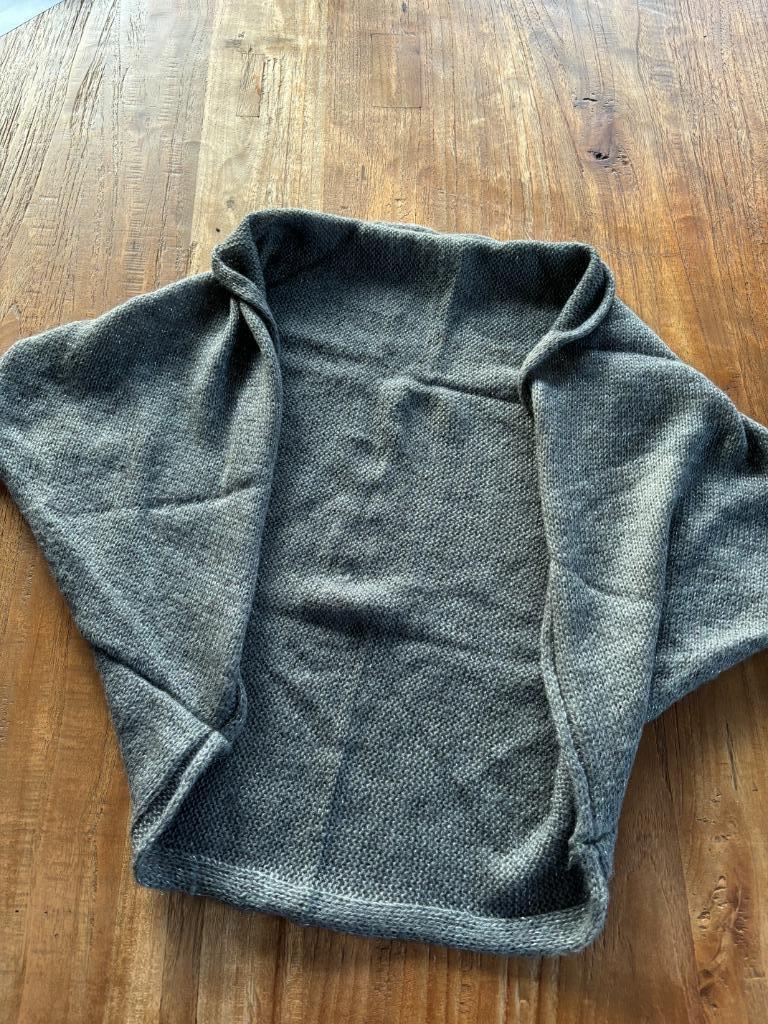 Bolero pimkie maat M, Kleding | Dames, Truien en Vesten, Maat 38/40 (M), Ophalen of Verzenden, Zo goed als nieuw, Pimkie