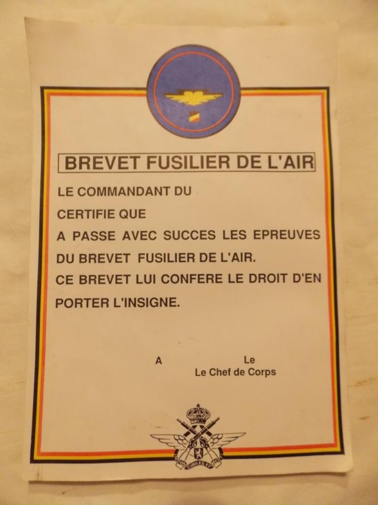 ABL Brevet fusilier de l'air, Collections, Objets militaires | Général, Armée de terre, Enlèvement ou Envoi