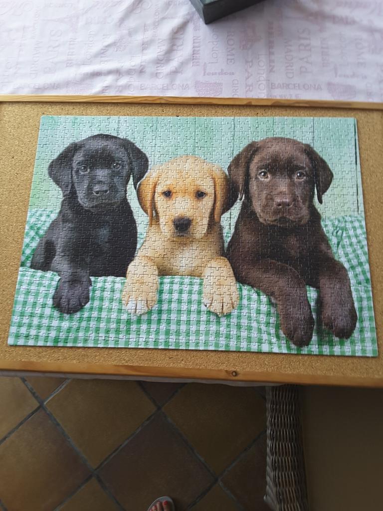 Puzzel 1000 stuks, volledig, Enlèvement, Comme neuf