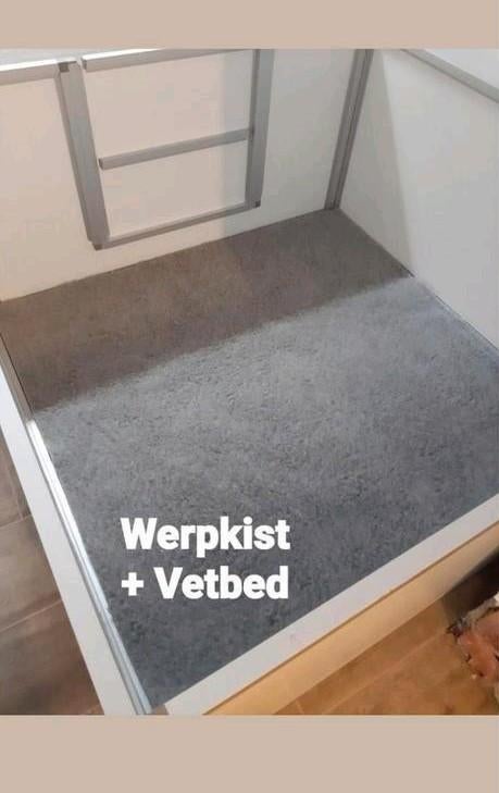 PROFESSIONELE WERPKIST HUNDOS ***** PRO, Dieren en Toebehoren, Ophalen of Verzenden, Zo goed als nieuw