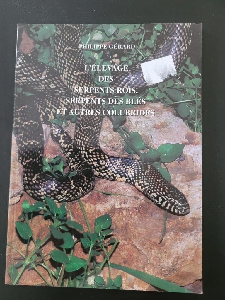 L'élevage des serpents rois, serpents des blés, colubridés, Livres, Animaux & Animaux domestiques, Comme neuf, Enlèvement ou Envoi