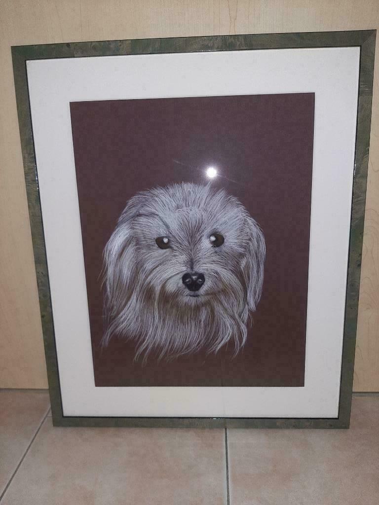 Cadre portrait Bichon, Ophalen, Gebruikt, 50 tot 75 cm, 50 tot 75 cm