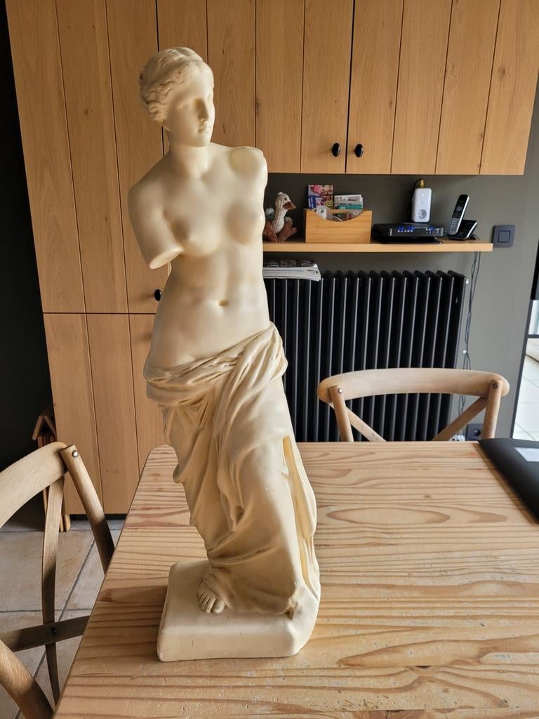 Beeld Venus van Milo, Ophalen