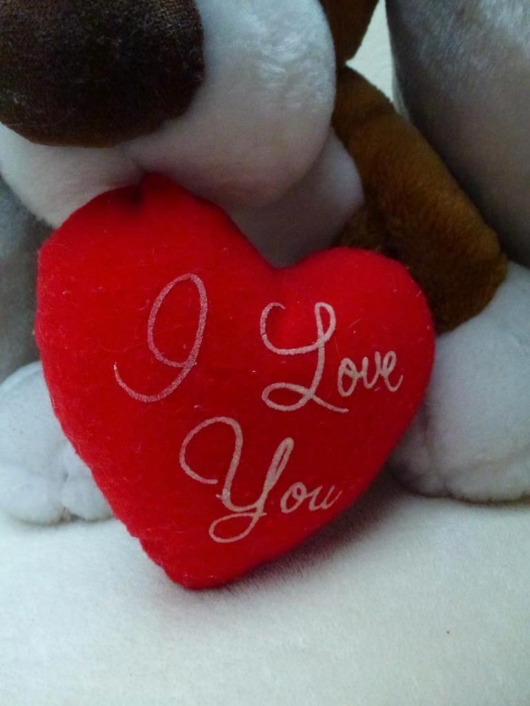 Valentijn knuffel pluchen hond I love you, Kinderen en Baby's, Speelgoed | Knuffels en Pluche, Ophalen of Verzenden, Zo goed als nieuw