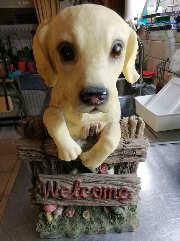 Décoration d'entrée welcome labrador, Ophalen of Verzenden