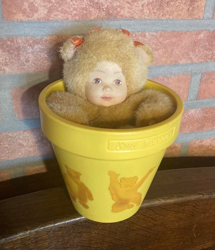 Anne Geddes popje in potje., Ophalen of Verzenden, Zo goed als nieuw, Overige typen