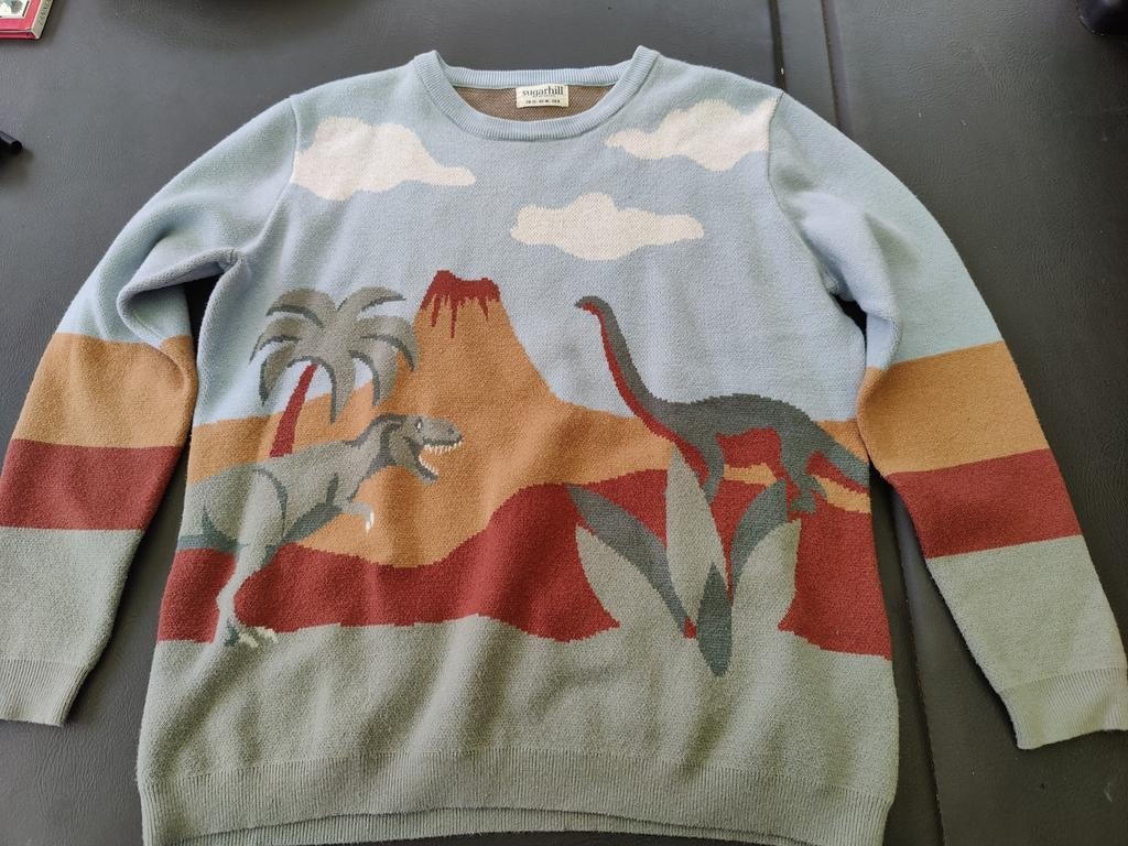 Mooie trui dino's maat 40, Ophalen of Verzenden