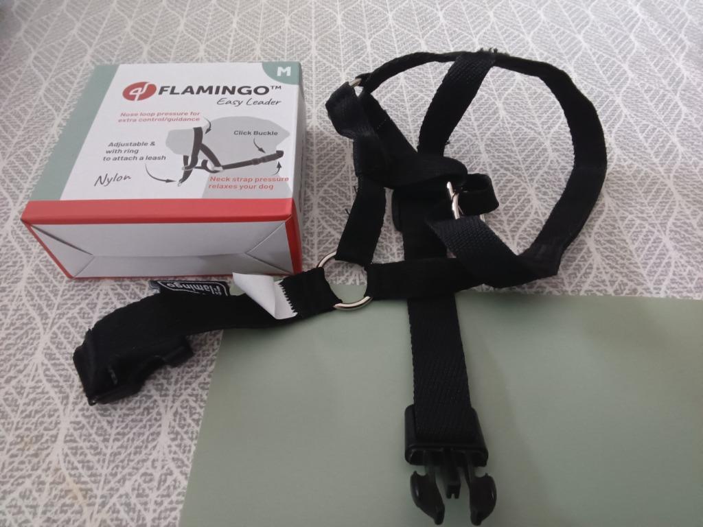 Honden leiband, Dieren en Toebehoren, Ophalen, Nieuw, Hondenriem-accessoire