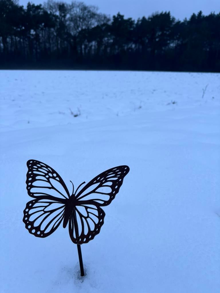 Papillons en acier Corten, Enlèvement, Neuf