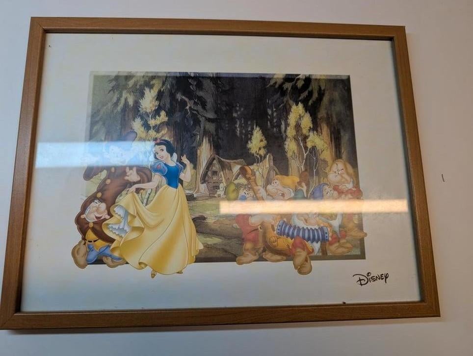 Disney kader sneeuwwitje, Ophalen of Verzenden