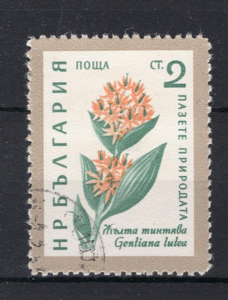 BULGARIE Yt. 1018 estampillée 1960, Enlèvement ou Envoi, Bulgarie, Affranchi