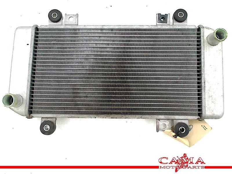 RADIATEUR Kawasaki ZX 250 R (Ninja ZX250R) (220003741), Motoren, Dhr. S. di Majo, Gebruikt, Info@cama-motorparts.nl, P.J. Troelstraweg 8 8
3144 CX  MAASSLUIS, NL