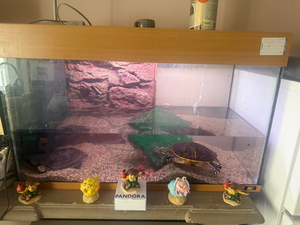 Aguarıum alles ik kan je berengen, Dieren en Toebehoren, Vissen | Aquaria en Toebehoren, Ophalen of Verzenden, Zo goed als nieuw