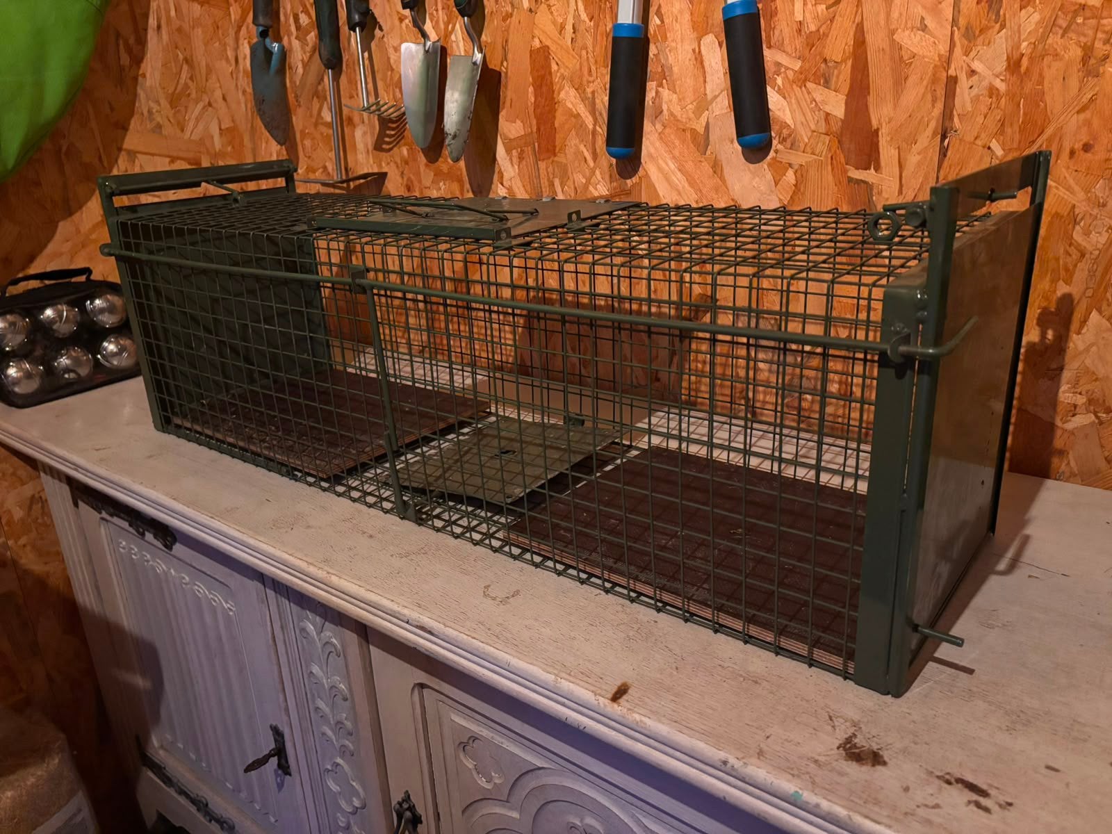 Dierenval, Animal Trap, Cat Trap, Live Trap, Marten Trap, Ophalen