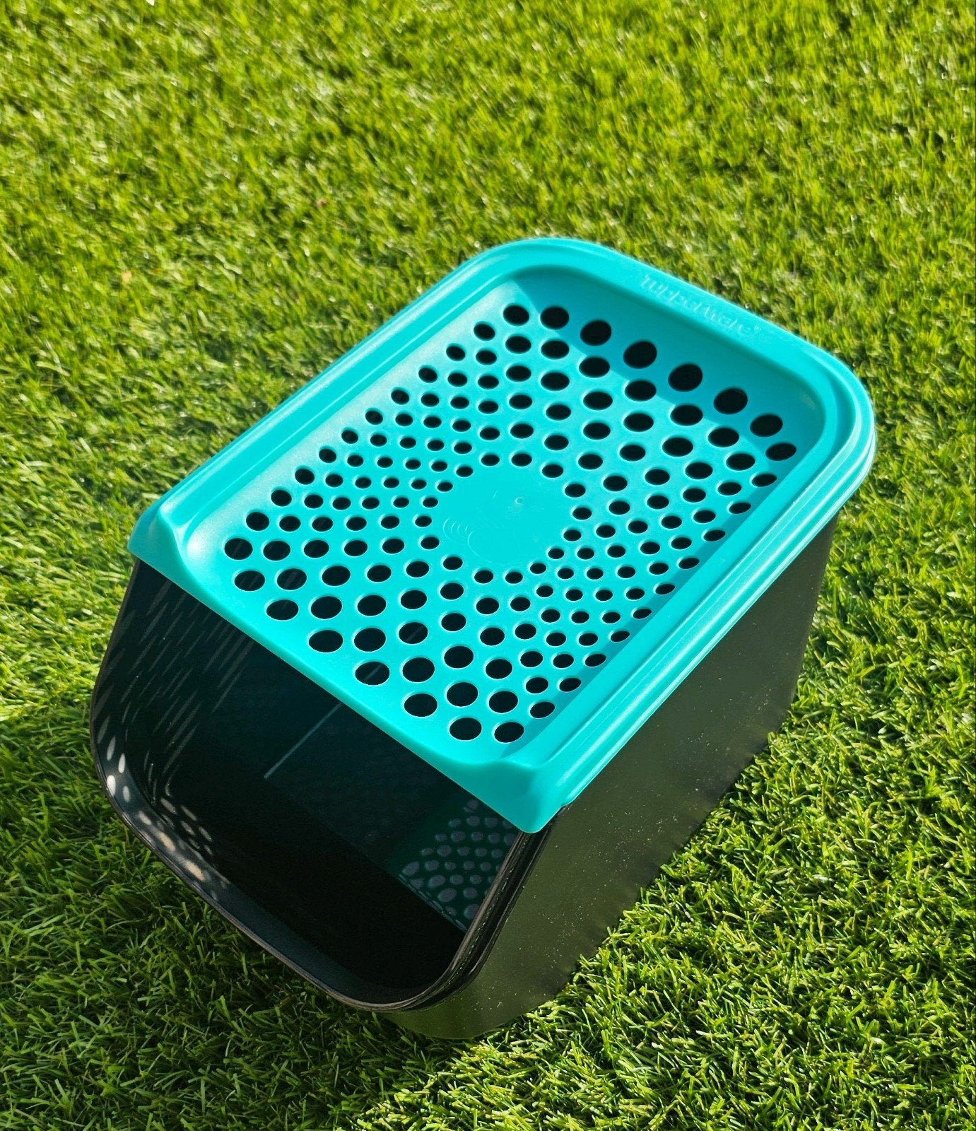 Tupperware ajuindoos, Ophalen of Verzenden, Nieuw