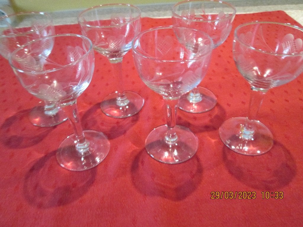 Verres (6) à vin blanc ou à digestif sur pied, Ophalen, Nieuw, Overige typen