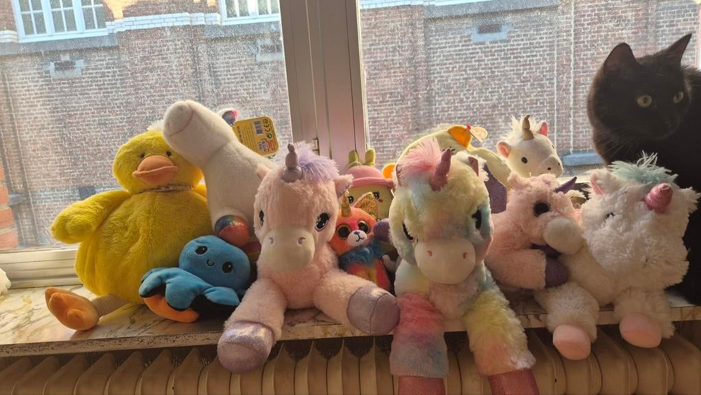 Lot knuffels, Ophalen, Overige karakters, Zo goed als nieuw, Middelgroot (20 tot 80 cm)