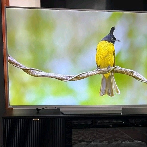 Téléviseur intelligent Philips 65 pouces avec wifi, Enlèvement ou Envoi, Philips, Smart TV