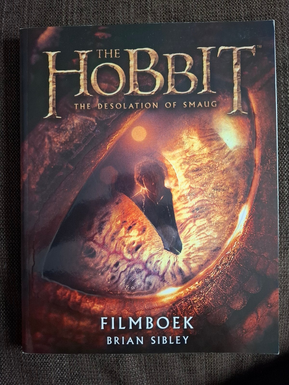The Hobbit - the desolation of Slaughter filmboek, Boeken, Ophalen of Verzenden