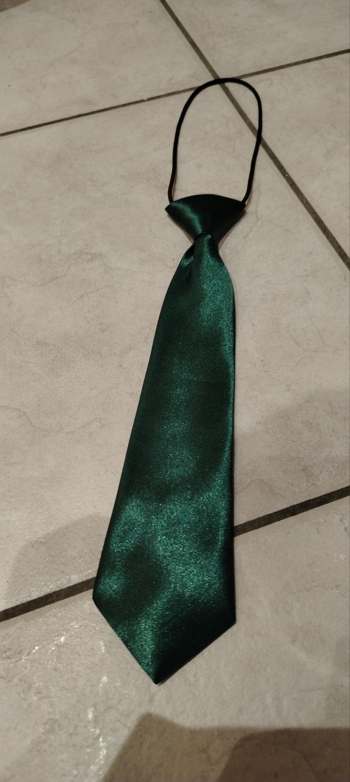 Cravate générique enfant verte à élastique - neuf., Kinderen en Baby's, Ophalen of Verzenden, Nieuw, Jongen