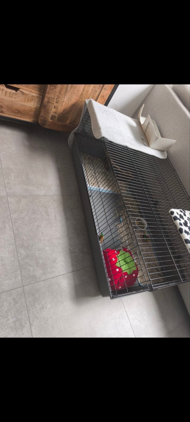 cage a lapin, Animaux & Accessoires, Enlèvement, Cage, Lapin