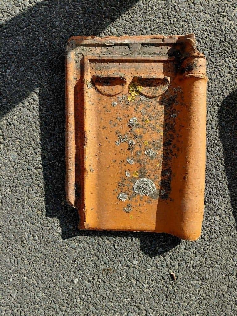 Oude Franse dakpannen, Doe-het-zelf en Bouw, Dakpannen en Dakbedekking, Ophalen, Gebruikt, Dakpannen