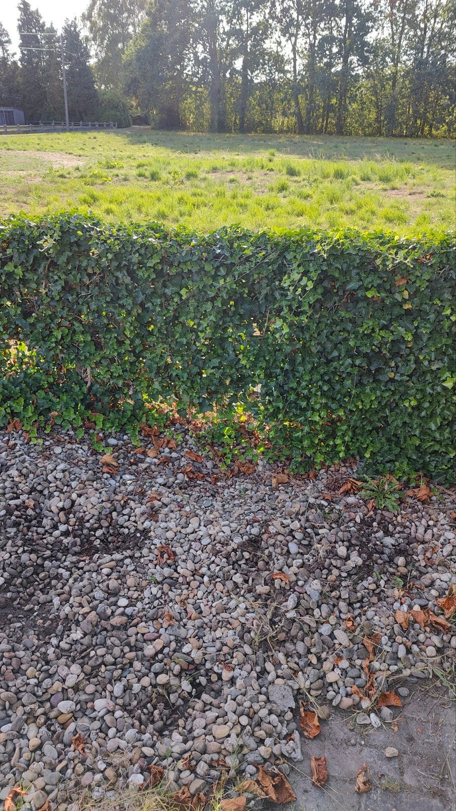 keien, Tuin en Terras, Ophalen
