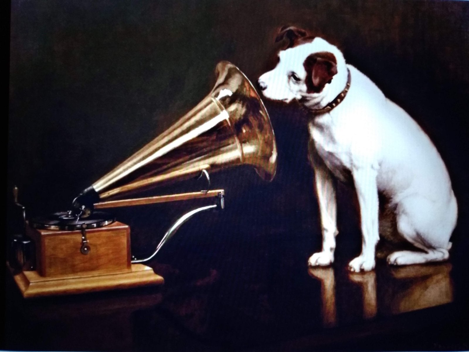 His Masters Voice Reclame Voorwerpen (10x) Zie Foto’s., Enlèvement ou Envoi, Utilisé, Panneau publicitaire