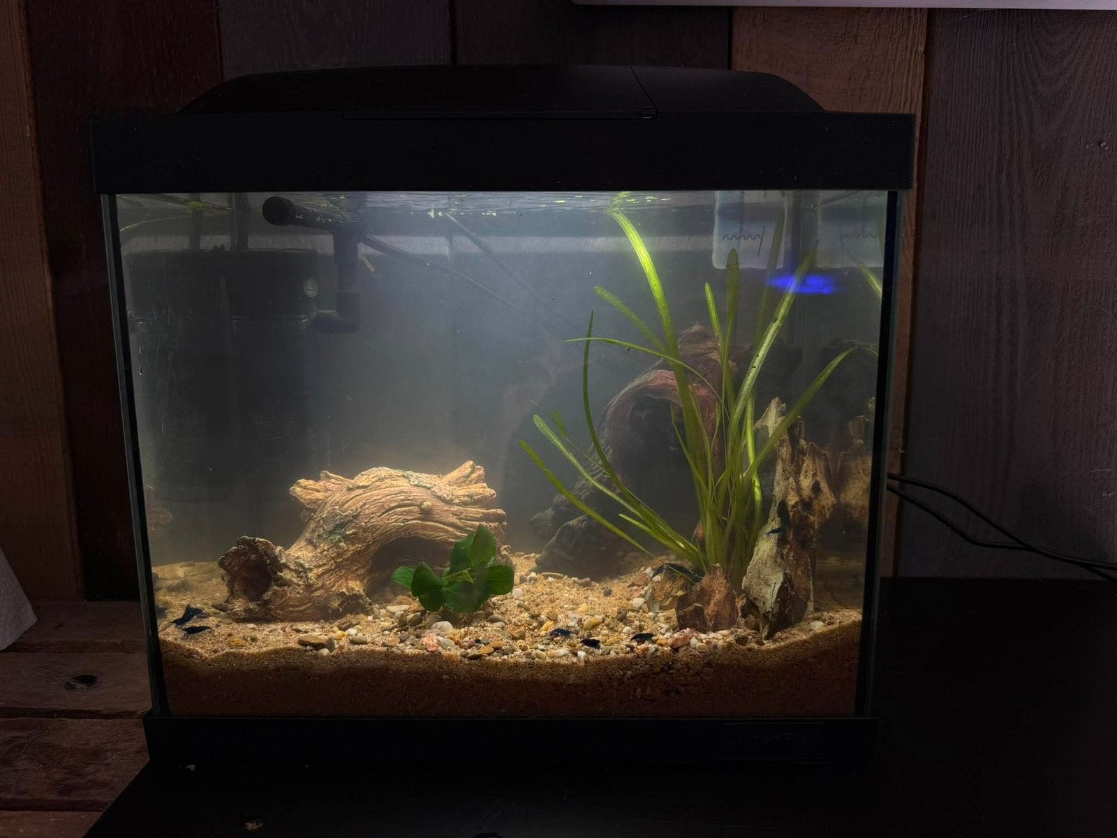 20l aquarium ingericht, Dieren en Toebehoren, Ophalen, Verwarming, Zo goed als nieuw, Filter