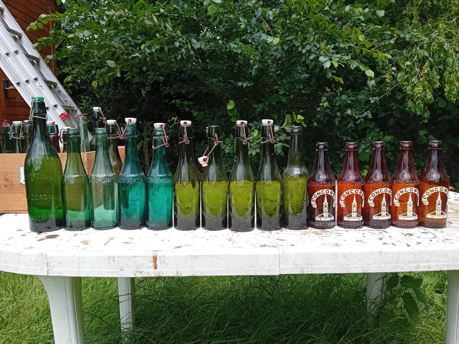 Oude vintage bierflessen brouwerij Concordia Geraardsbergen, Verzamelen, Ophalen of Verzenden