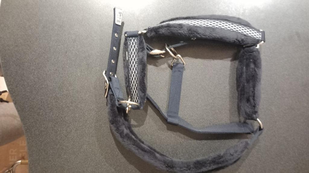 Équitation - Ensemble Licol et longe Fouganza comme neuf, Enlèvement