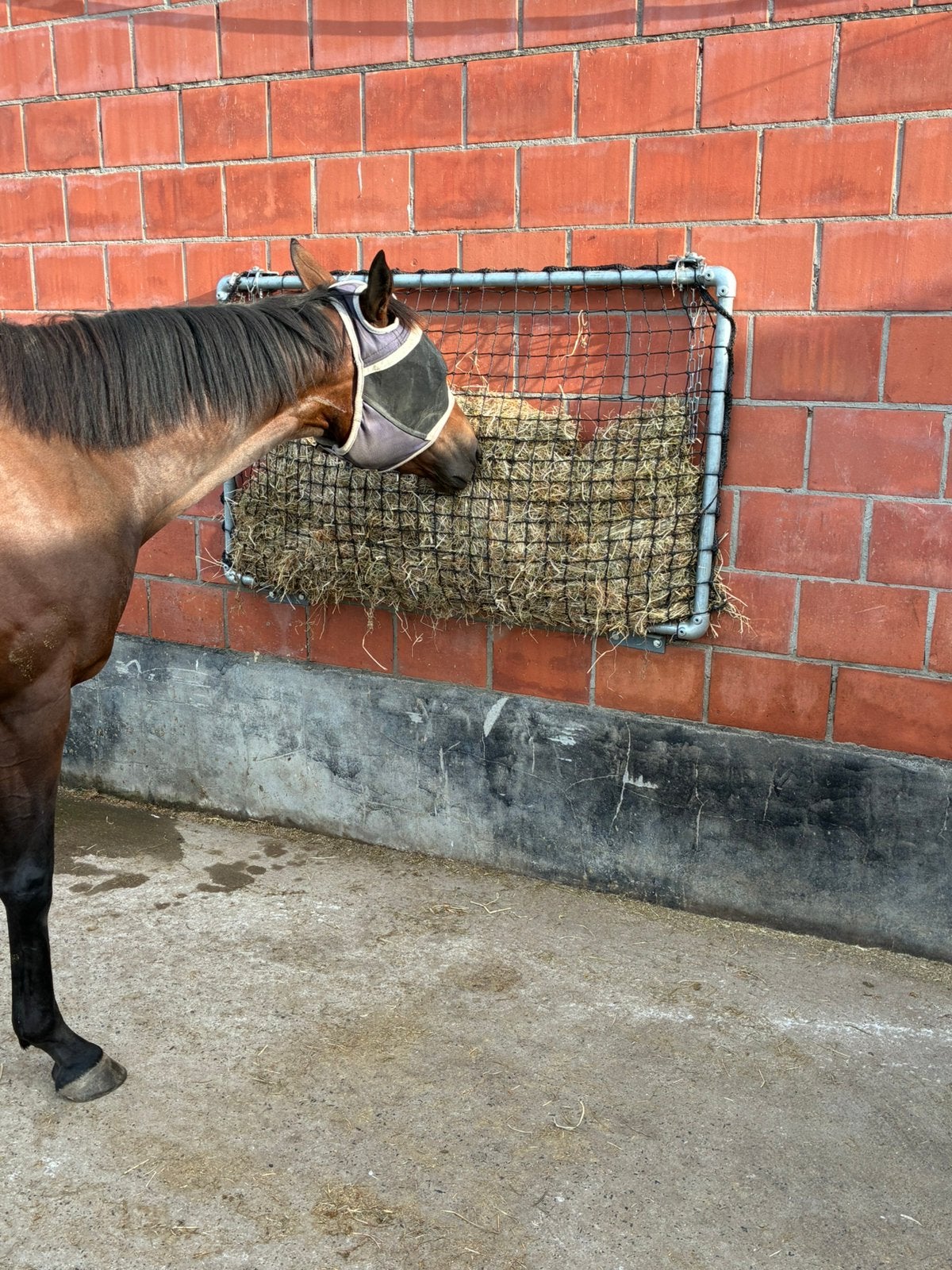 Slowfeeder hooirek op maat, Dieren en Toebehoren, Ophalen, Nieuw